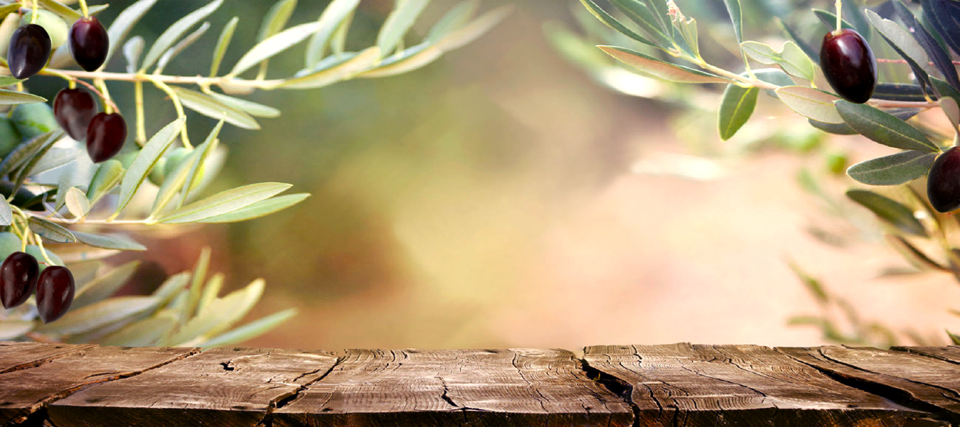 Banner_01.1